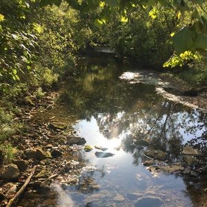 Meet your Posher, Jazmine